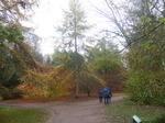 FZ009402 Margaret, Tom and Jenni in the rain.jpg